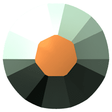 SWAROVSKI 2038 SS 10 JET AB A HF