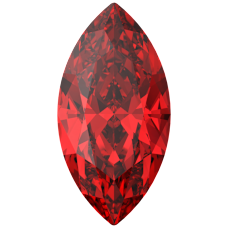 SWAROVSKI 4210 MM 8,0X 4,0 LIGHT SIAM F