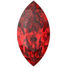 SWAROVSKI 4210 MM 10,0X 5,0 LIGHT SIAM F